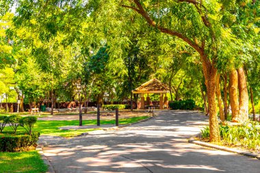 Khon Khan şehri, Güneydoğu Asya 'da Khon Kaen İlçesi' nde tropikal doğa orman köşkü ve mavi gökyüzü ile kamu parkı..