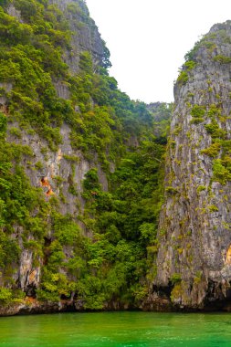Güneydoğu Asya 'da Krasom Takua Thung Bölgesi Phang Nga Bölgesi Güney Tayland' da yeşil tropikal kireç taşı tepeleri, panorama deniz manzarası ve turkuaz su..