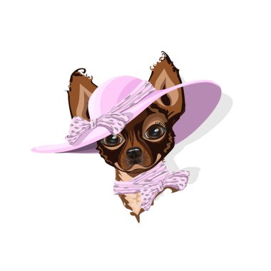 Bir yaz şapka bir köpek. Neşeli vektör çizim.