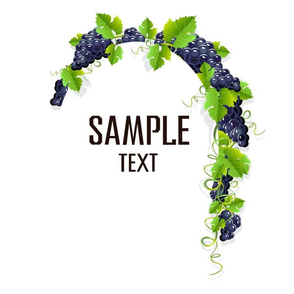 Siyah üzüm ile gerçekçi bir kare. Davetiye şablon veya kart. Vektör çizim.