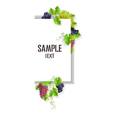 Siyah üzüm ile gerçekçi bir kare. Davetiye şablon veya kart. Vektör çizim.