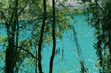 Bir nehir çayırı geçiyor, Jijel, Cezayir