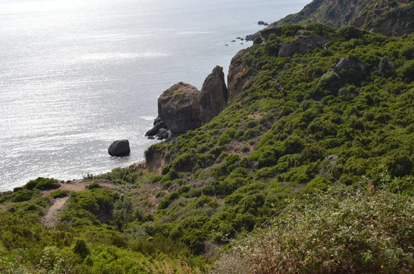 Deniz Kıyısına Doğru Inen Bir Tepe — Stok fotoğraf