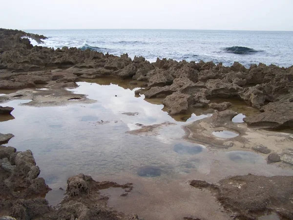 Een Natte Stenige Kust Algerije Afrika — Stockfoto