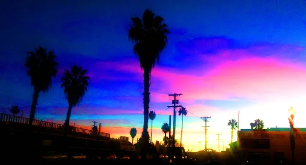 Farbenfroher Sonnenuntergang Sonnenaufgang Himmel Mit Silhouette Skyline Von Palmen Und — Stockfoto