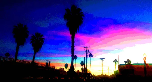 Cielo Colorido Atardecer Amanecer Con Silueta Horizonte Palmeras Vegetación — Foto de Stock