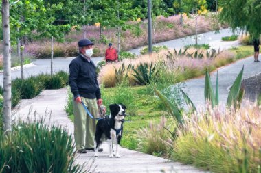 La Mexicana, Santa Fe, Mexico City: 9 Haziran 2020. Karantina sırasında köpeğini gezdiren yaşlı bir adam.