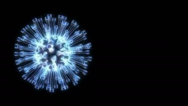 Bactérie bleue ronde sur un noir capable de boucler — Video