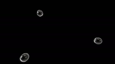 Dört su damlaları bir siyah karşı karşıya