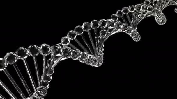 DNA di vetro Loopable Animazione 3D — Video stock gratuito