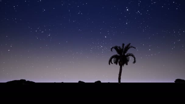 Amazing zonsondergang in de woestijn — Stockvideo