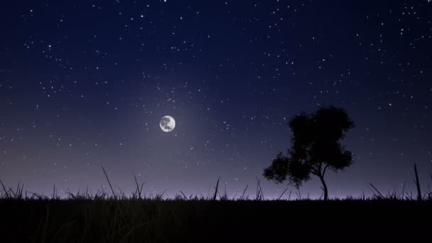 Sorgere Della Luna Sullo Sfondo Del Cielo Stellato Notturno — Video Stock