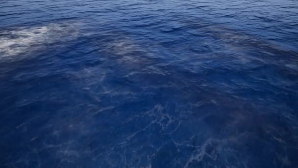 Поверхность спокойного океана — Бесплатное стоковое видео