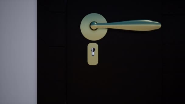 Movement of the camera through the keyhole — Stock Video