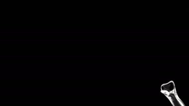 Siyah arkaplanda su sıçraması