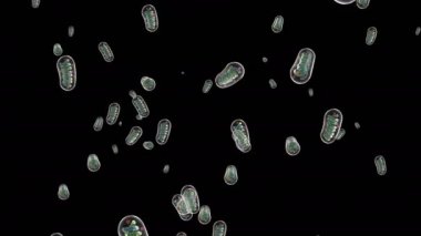 Tablet siyah döngü gerçekleştirmek mümkün döndürmek