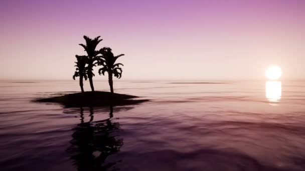 Восход солнца в океане с пальмами — стоковое видео