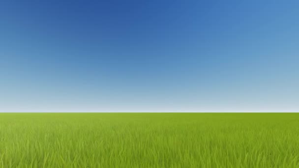 Champ vert et ciel dégagé 