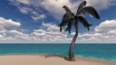 Palmiye ağaçları olan tropik bir ada