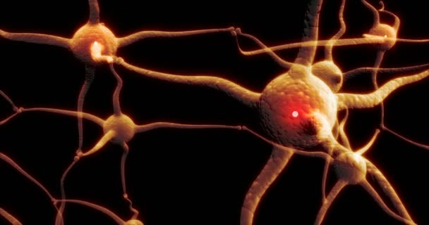 Rete sinaptica del neurone reale con attività elettrica rossa in grado di loop — Video Stock