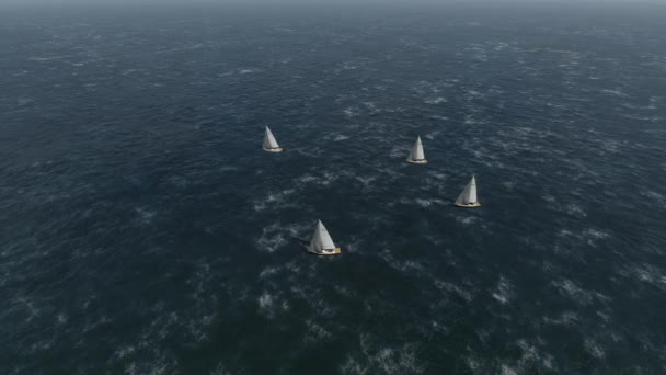 Sailing regatta. Race to the sea — Stock Video