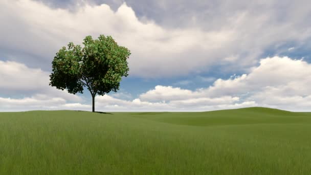 Одно дерево, облачное небо и трава — стоковое видео