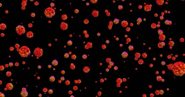 Червоний вірус або мікроби мікроорганізму клітини бактерії здатні петля — Безкоштовне стокове відео
