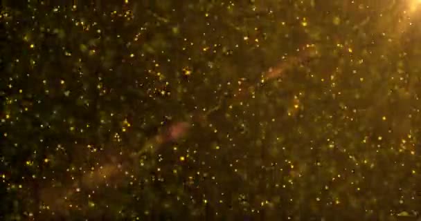 Χρυσό σωματίδια που είναι σε θέση να βρόχο — Αρχείο Βίντεο