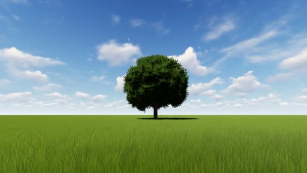 Einzelner Baum wächst Zeitraffer mit Wind — Stockvideo