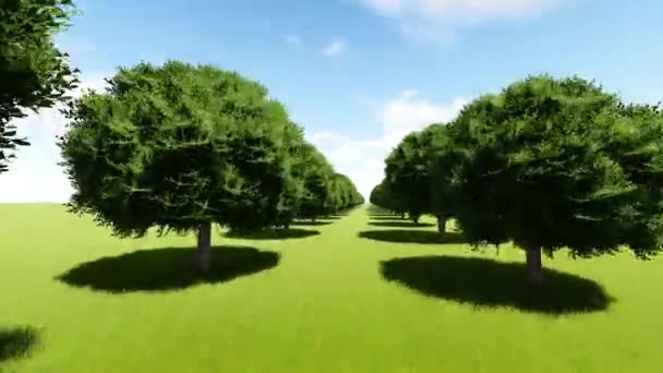 Trädkantade ingången till trädet gränd — Stockvideo