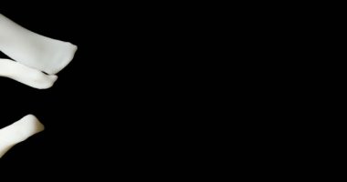 Bir siyah süt üç akarsu collide.