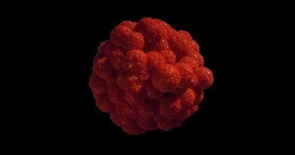 Red cancer cell able to loop — Stock Video