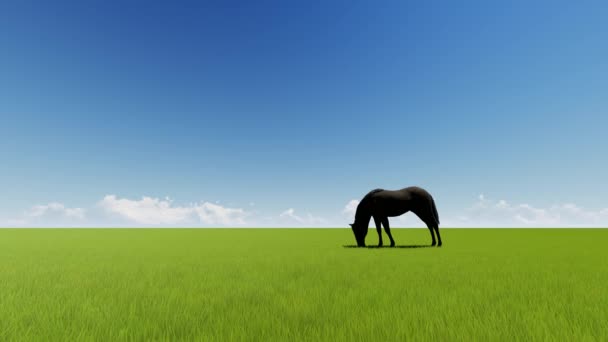 Cavalo no campo de grama verde — Vídeo de Stock