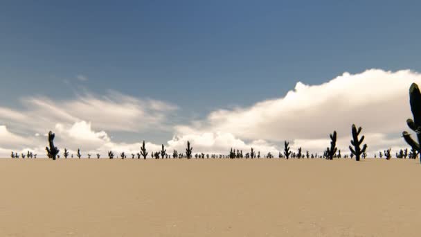 ほこりの背景に砂漠で Ccacti。砂漠の風景です。自然の風景. — ストック動画