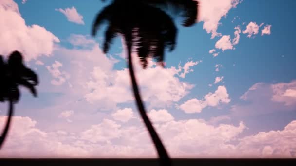 Alley of palm trees — Stock Video