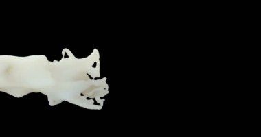 Siyah üzerinde süt akışı