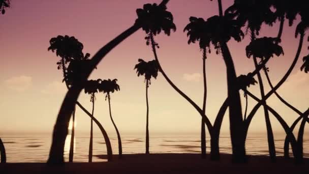 Silhuetas de palmeiras na praia oceânica sobre o fundo do nascer do sol . — Vídeo de Stock