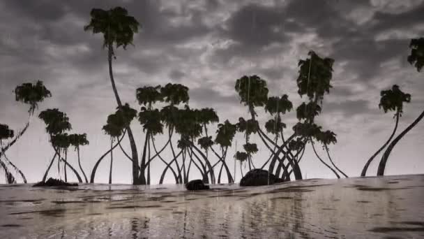 Tempestade palmeiras árvore oceano — Vídeo de Stock