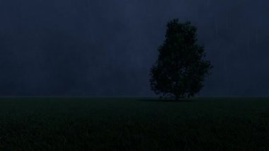 Fırtınanın arka planında bir ağaç