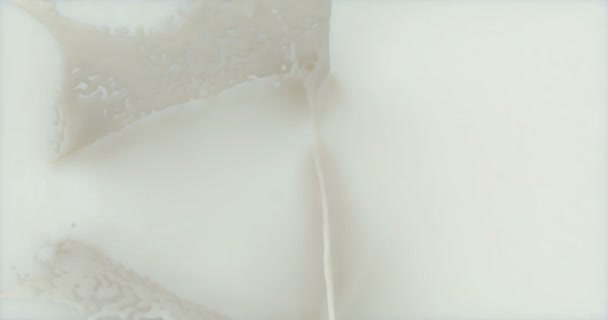 Lait tombant et éclaboussures formant une belle couronne éclaboussure 