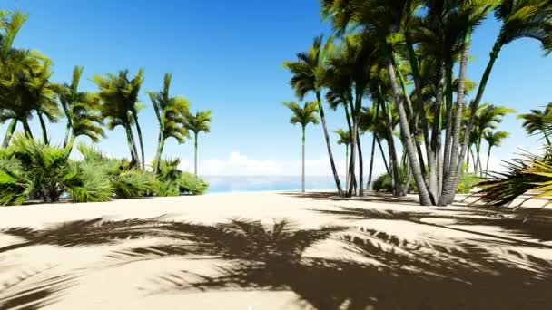 Belle plage tropicale aérienne - une vue des oiseaux des vagues de l'océan — Video