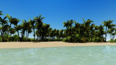 Güzel tropikal plaj hava-okyanus dalgaları bir kuşlar göz görünümü