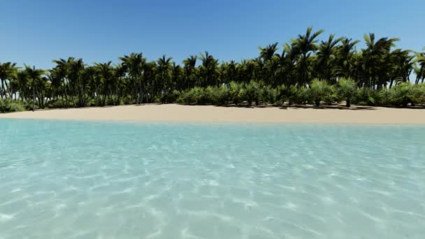 Beautiful tropical beach aerial - a birds eye view of ocean waves — Stock Video