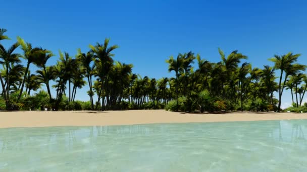 Hermosa playa tropical aérea - una vista de aves de las olas del océano — Vídeos de Stock