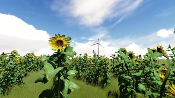 Windgenerator auf einem Sonnenblumenfeld — Stockvideo