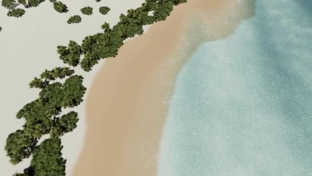 Eiland stranden palmen en zee. Atlantische Oceaan en hemel mooi wit wild strand. — Stockvideo