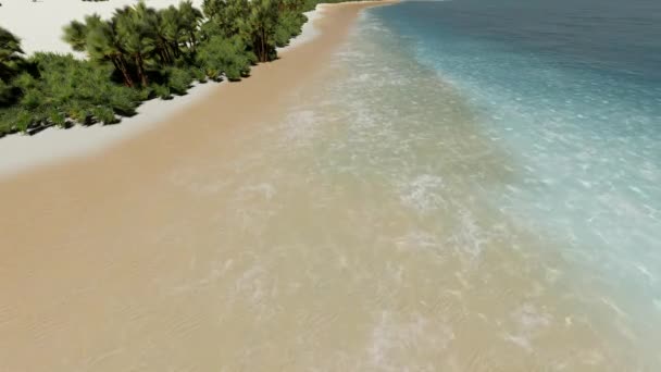 Пляжи острова пальмы и море. Атлантический океан и небо . — стоковое видео