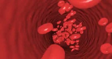 Sorunsuz döngü mümkün kan damarı trombositler içinde hareket