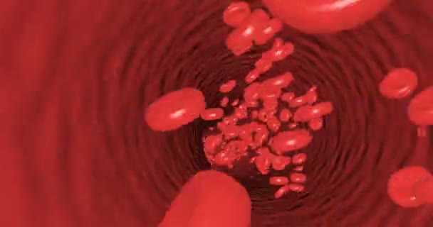 Движение внутри тромбоцитов кровеносных сосудов способно бесшовно петлять — стоковое видео