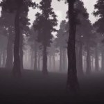 Night forest 3d realistic footage